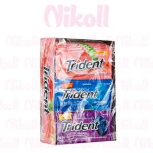 TRIDENT GRANDE SURTIDO X 18 UNIDADES -Snack y Dulces - Distribuidora Nikoll