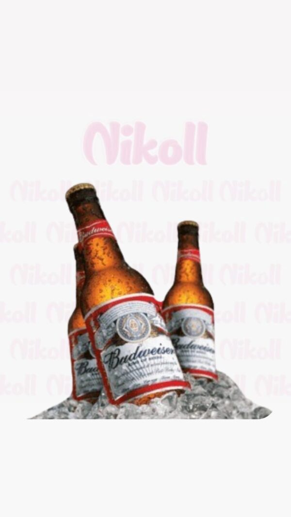 BUDWEISER 250 ML CANASTA RETORNABLE  X 38 UNIDADES